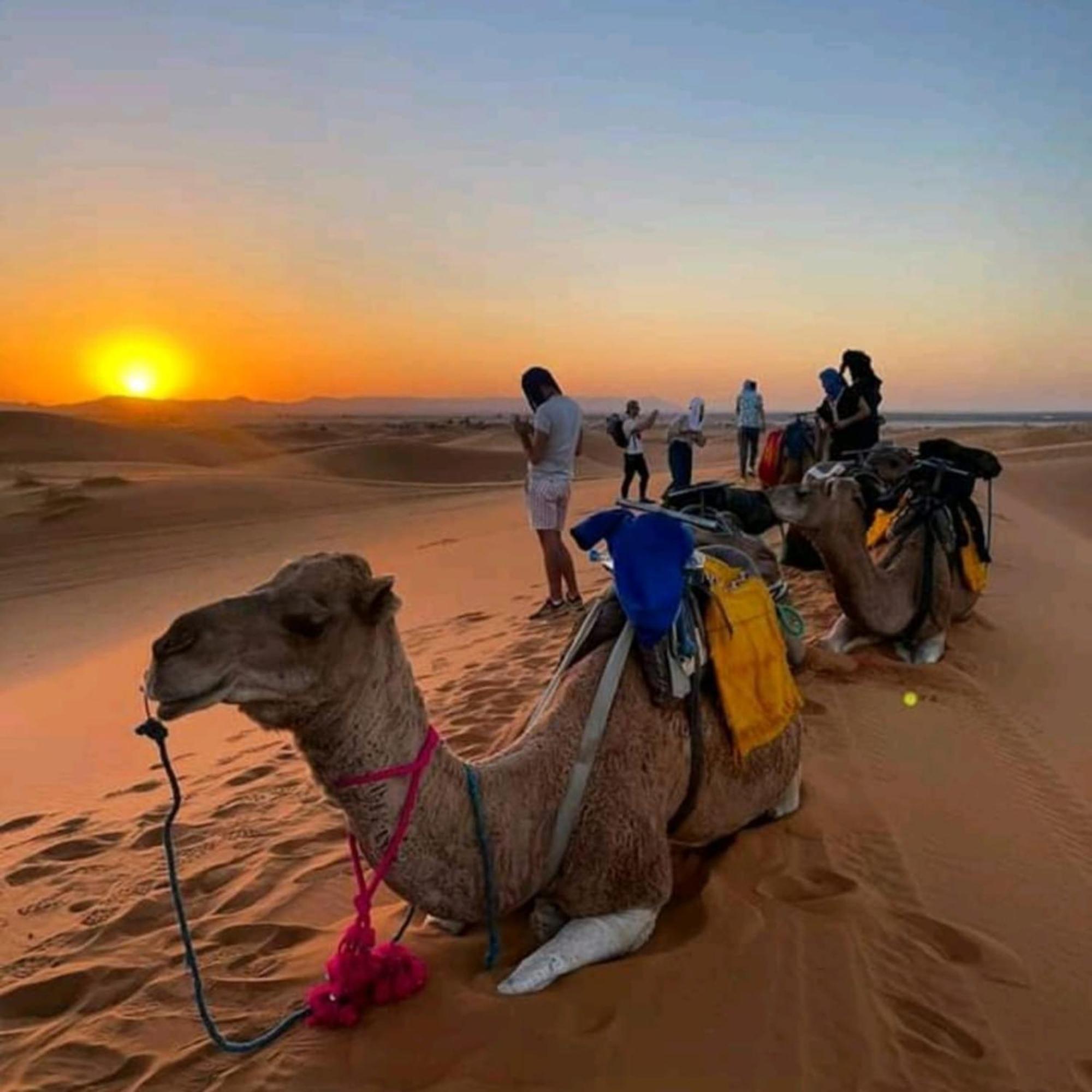Erg Chebbi Romantic Desert Camp 梅尔祖卡 外观 照片