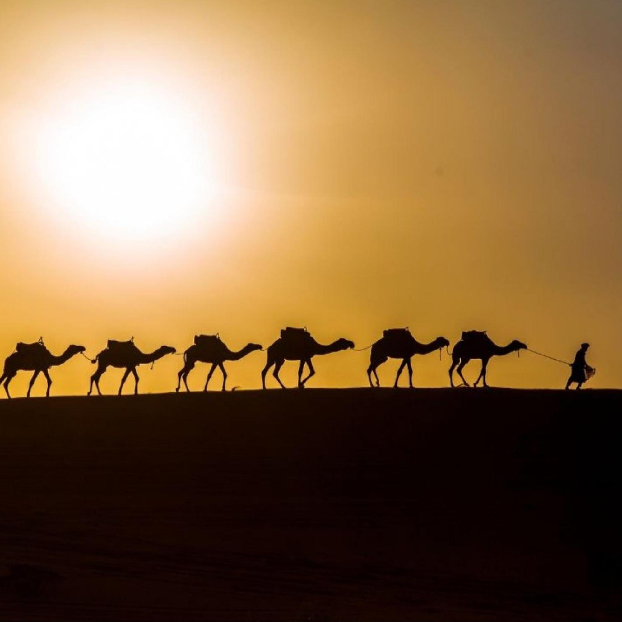 Erg Chebbi Romantic Desert Camp 梅尔祖卡 外观 照片