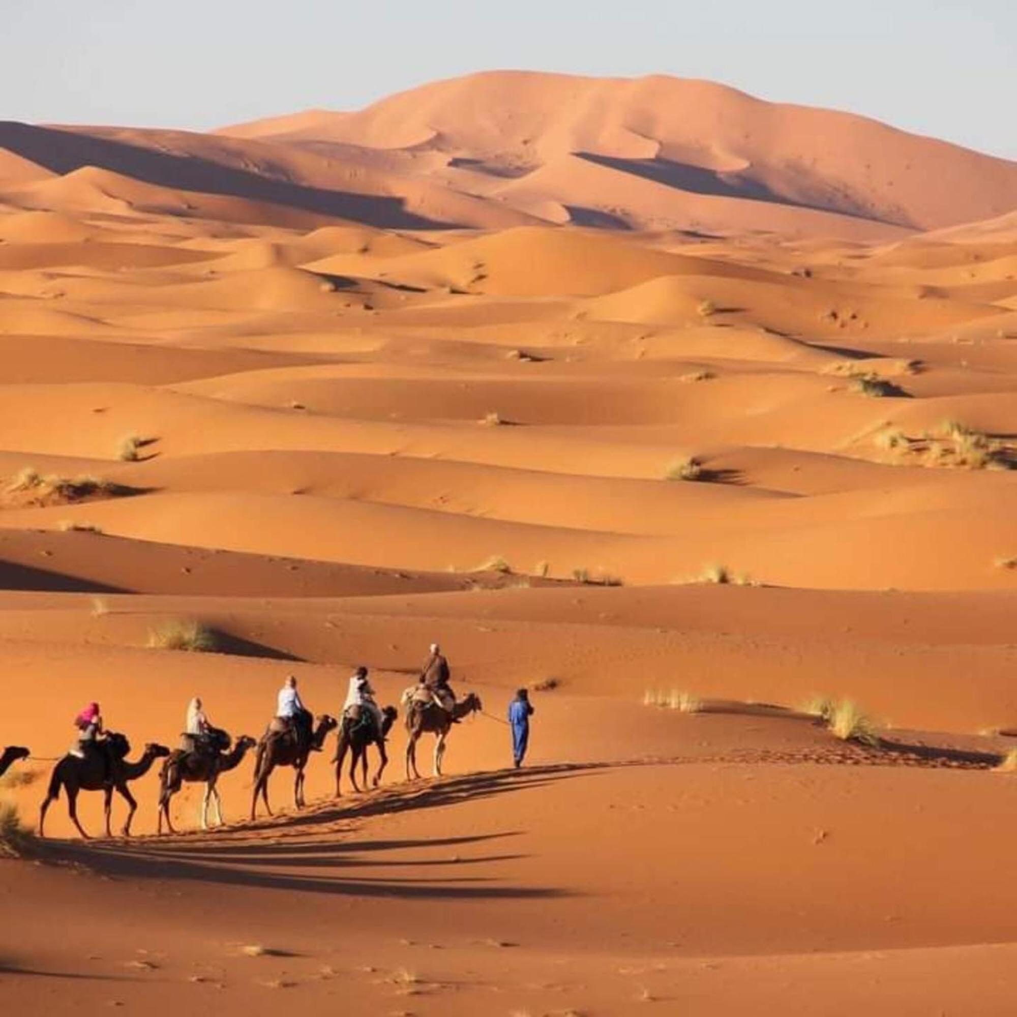 Erg Chebbi Romantic Desert Camp 梅尔祖卡 外观 照片